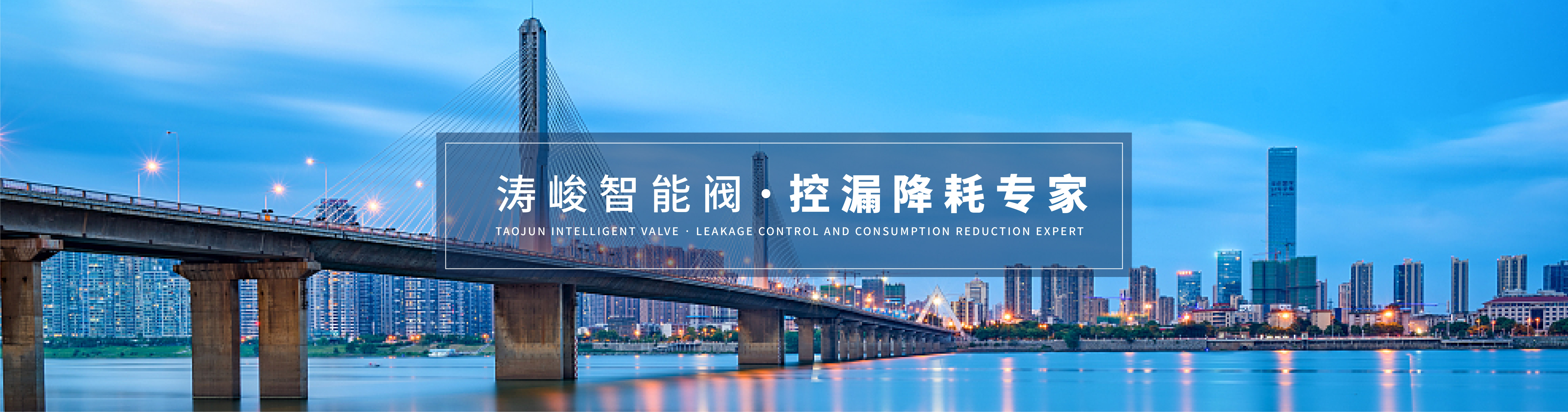 湖南濤峻科技有限公司